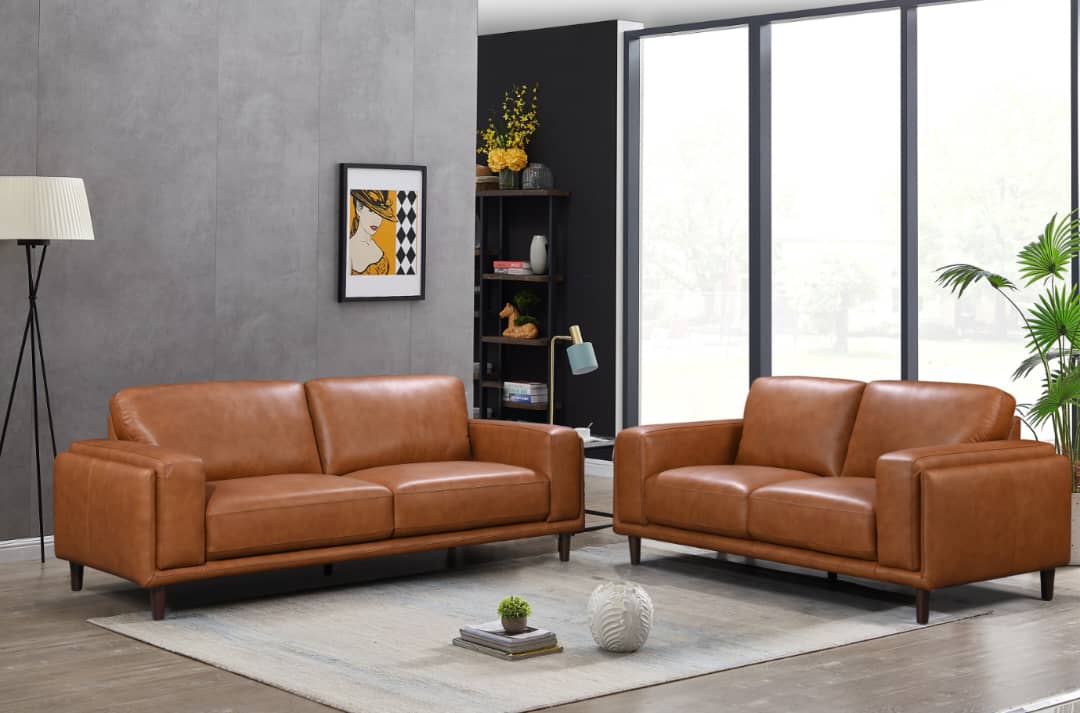 Danise Leather Sofa Lounge: Contemporary Elegance