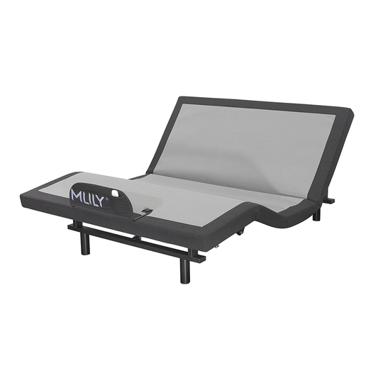 iActive 20 Adjustable Bed